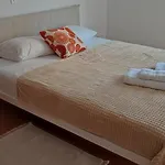 아파트 Mimosa Flat Cente 2bdr *